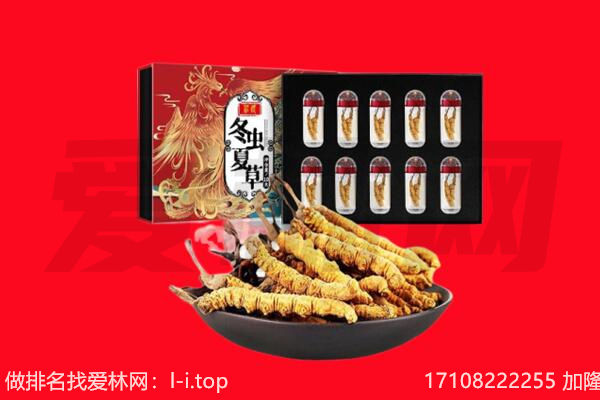 绥化肇东市回收虫草.jpg